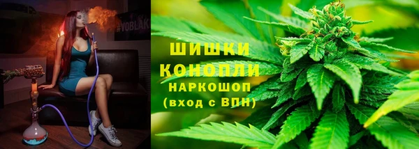 соль ск Бородино