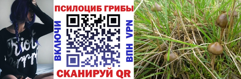 Галлюциногенные грибы прущие грибы  ОМГ ОМГ маркетплейс  Дальнегорск 